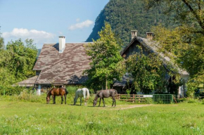 Charming blacksmith`s house @ Lake Bohinj